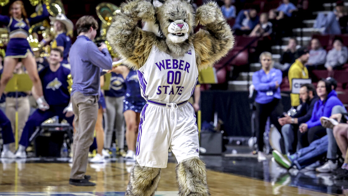 Weber State Wildcats